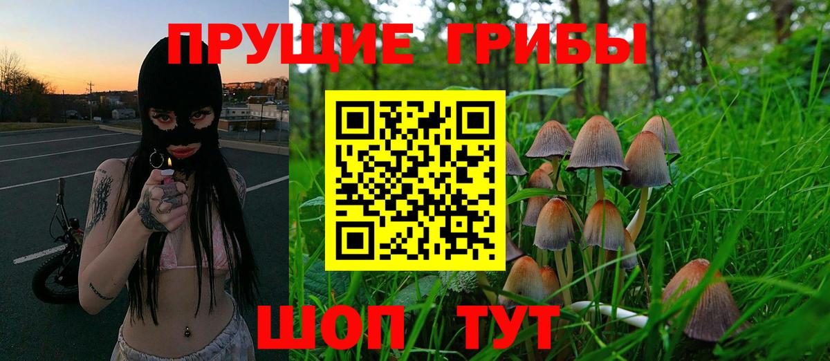 Галлюциногенные грибы мухоморы Махачкала